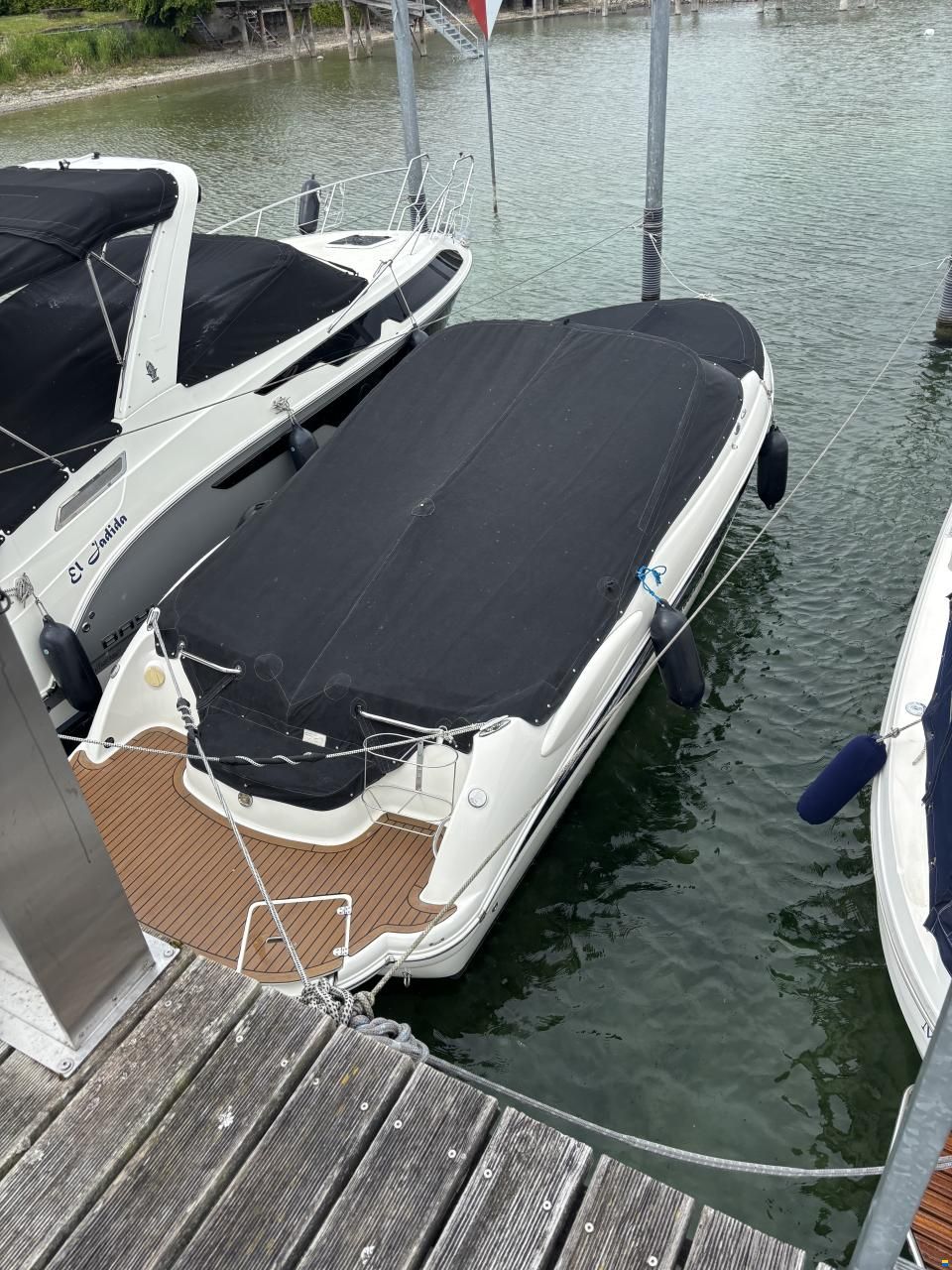 Stingray 250LR