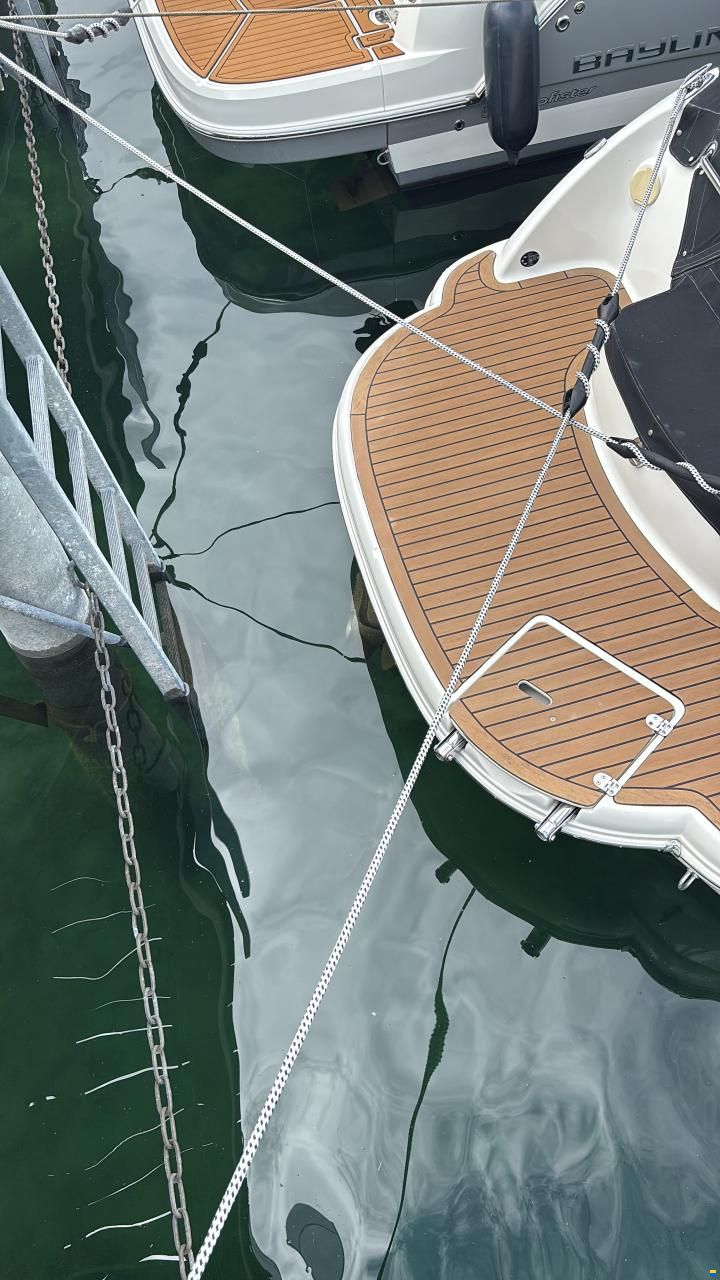 Stingray 250LR