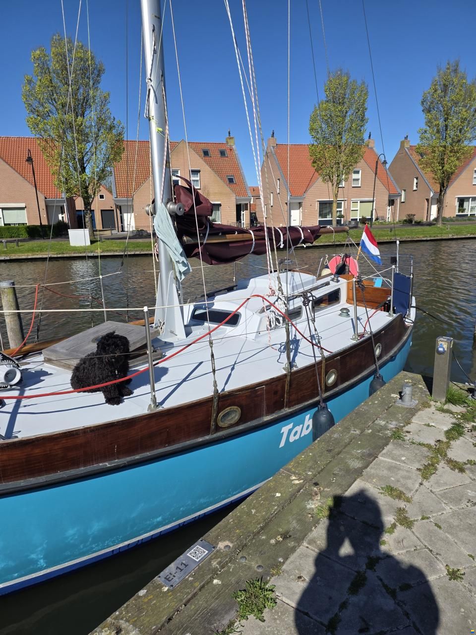 Rossiter Pintail 27