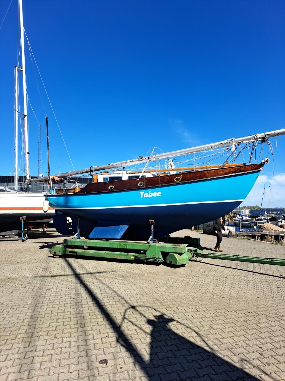 Rossiter pintail 27