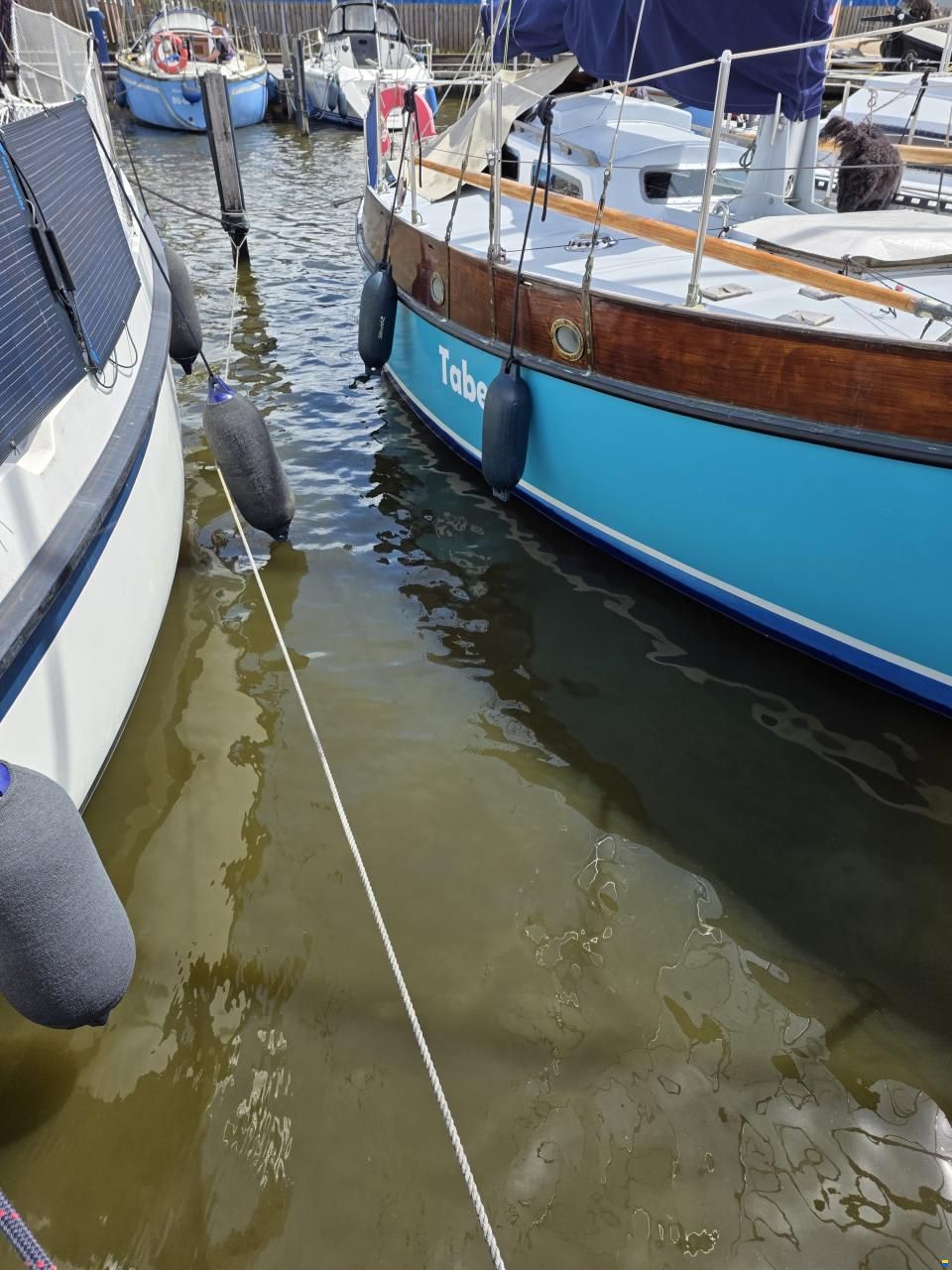 Rossiter pintail 27