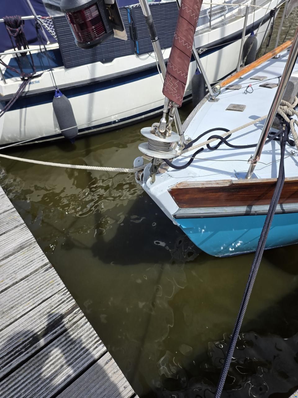 Rossiter pintail 27