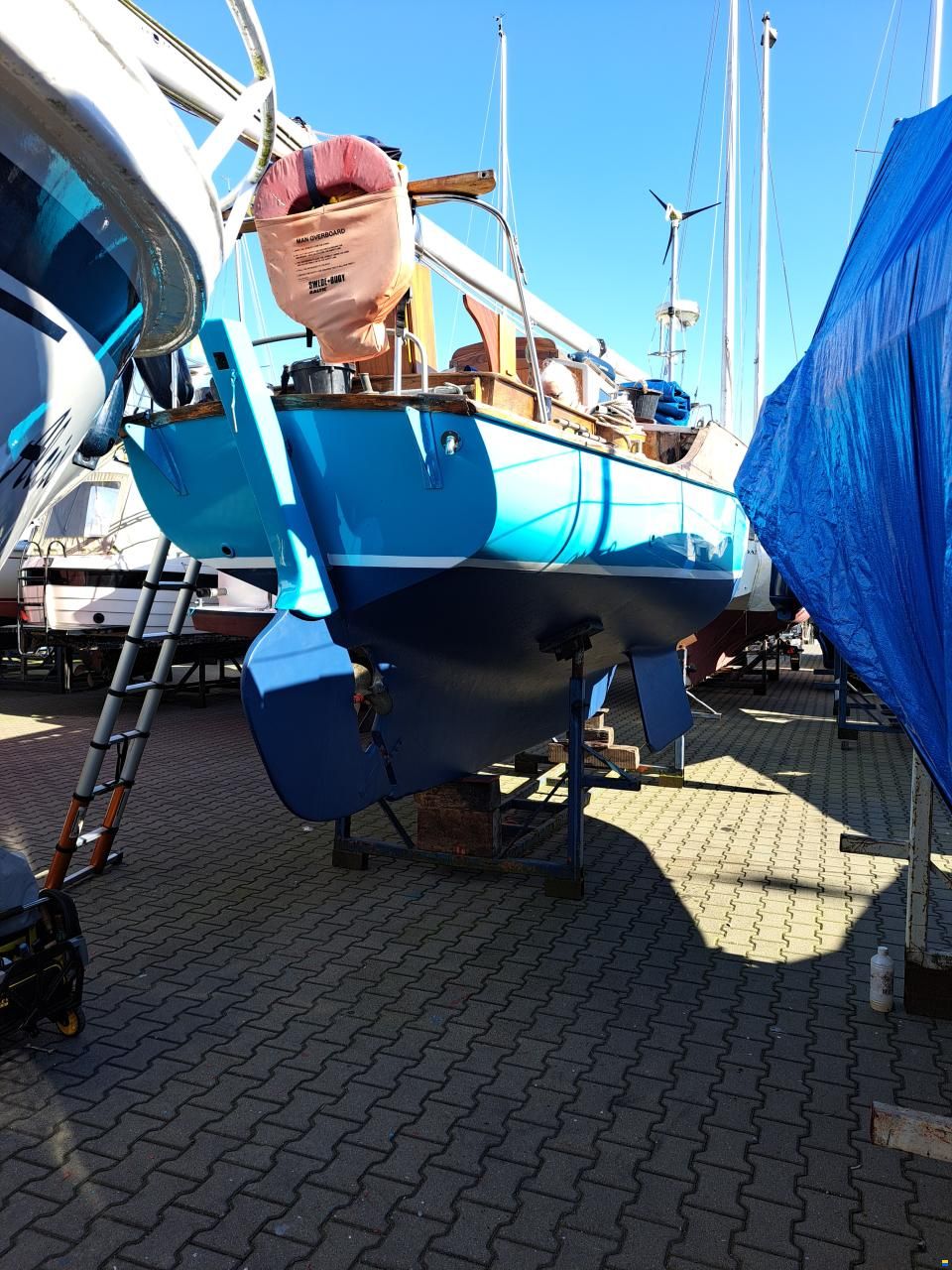 Rossiter pintail 27