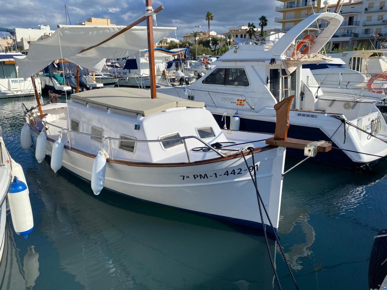 Copino 36