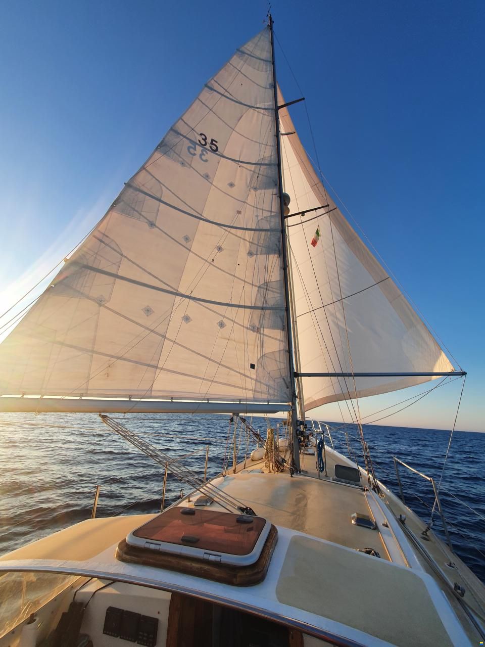 Brown Bluewater 49