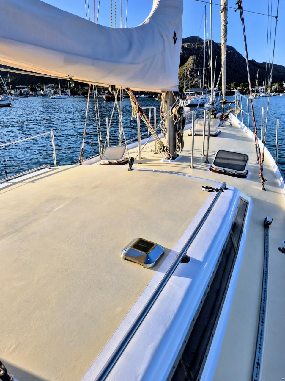 Brown Bluewater 49