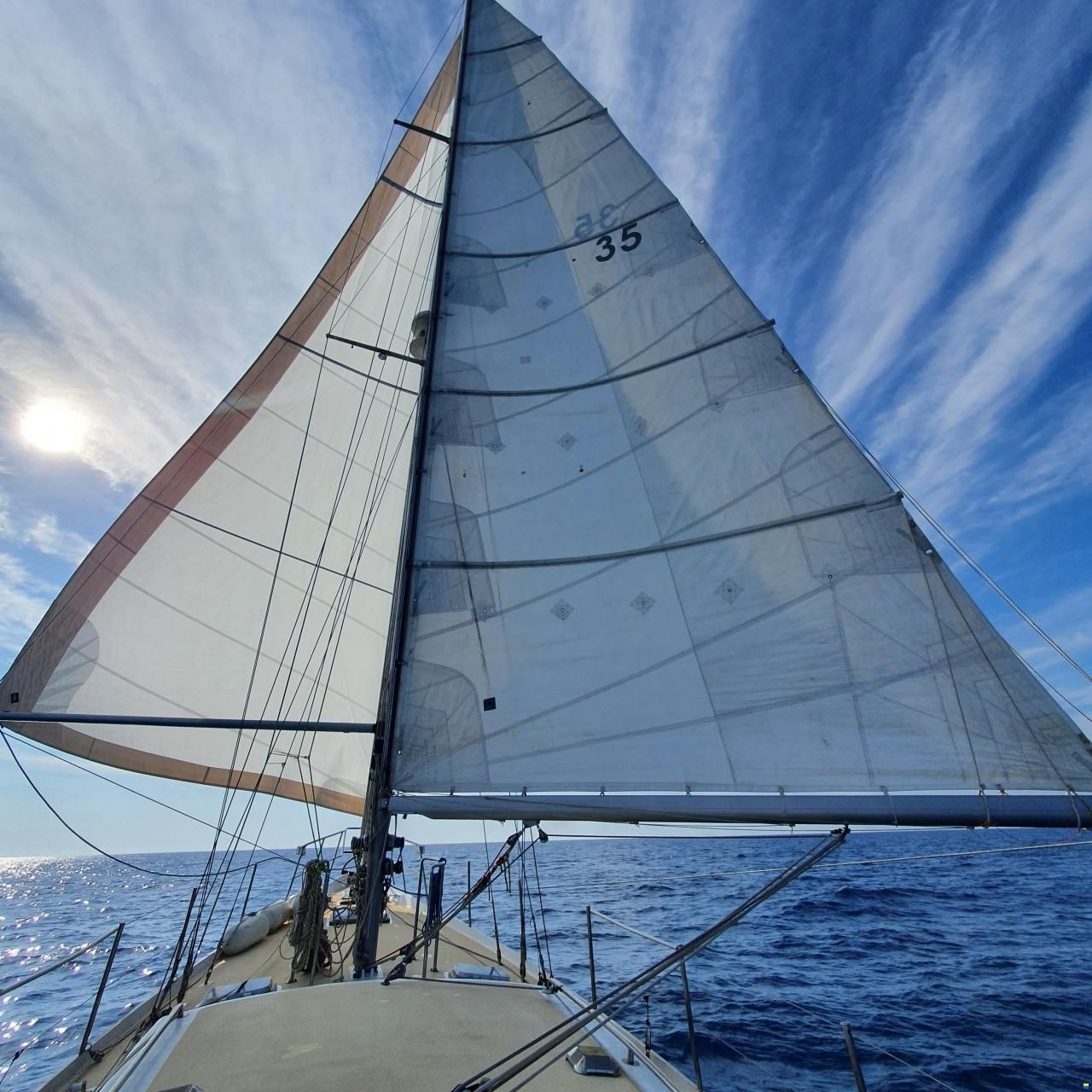 Brown Bluewater 49