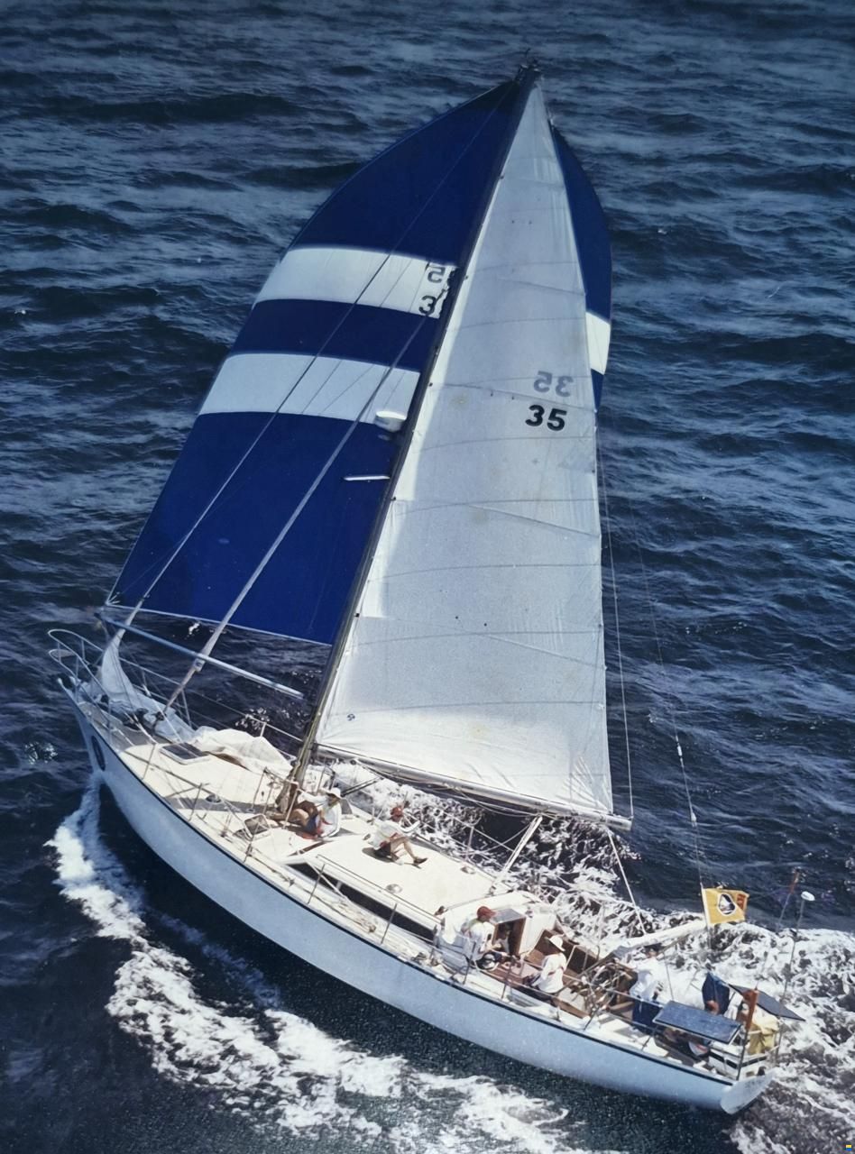 Brown Bluewater 49