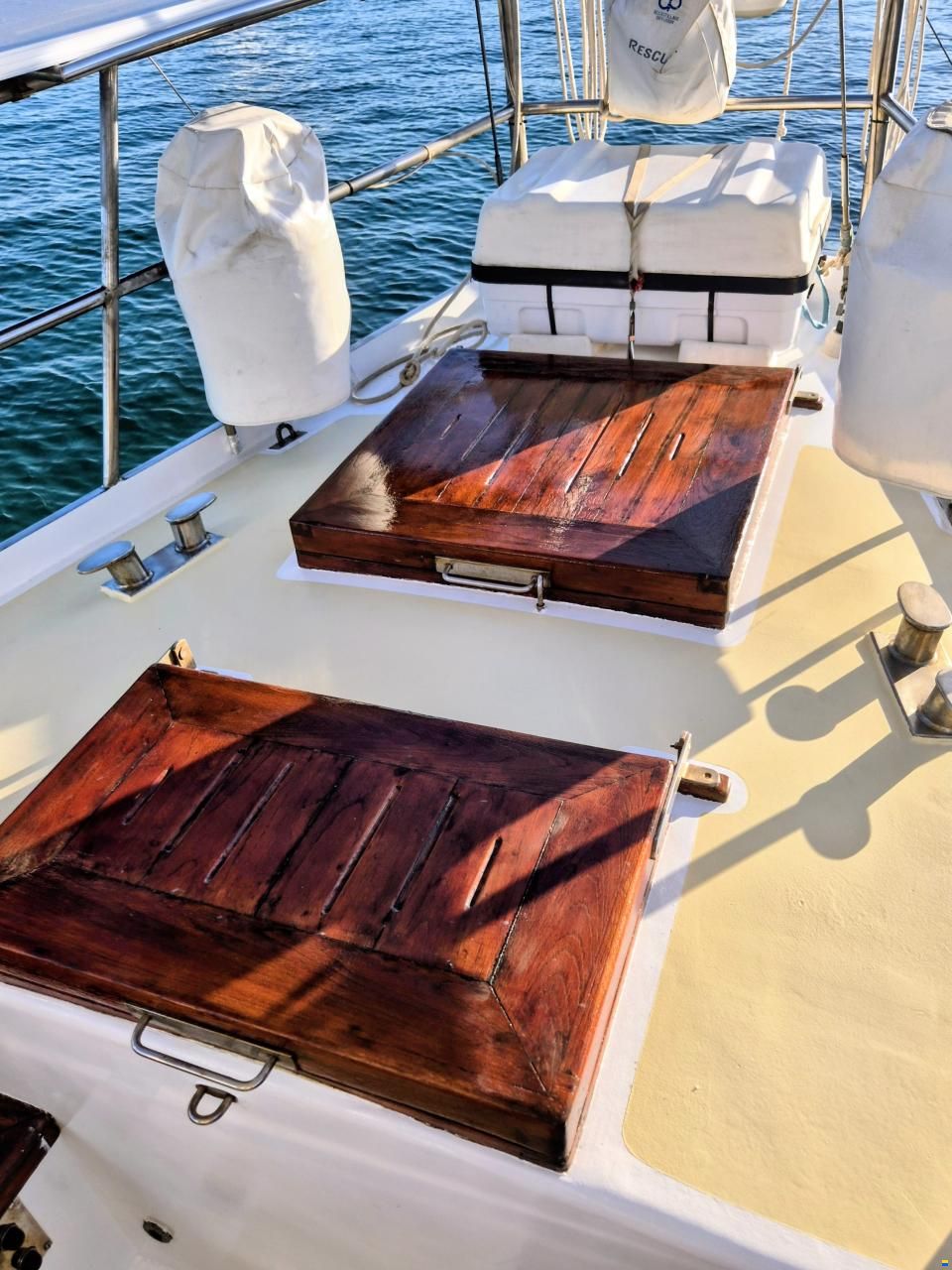 Brown Bluewater 49