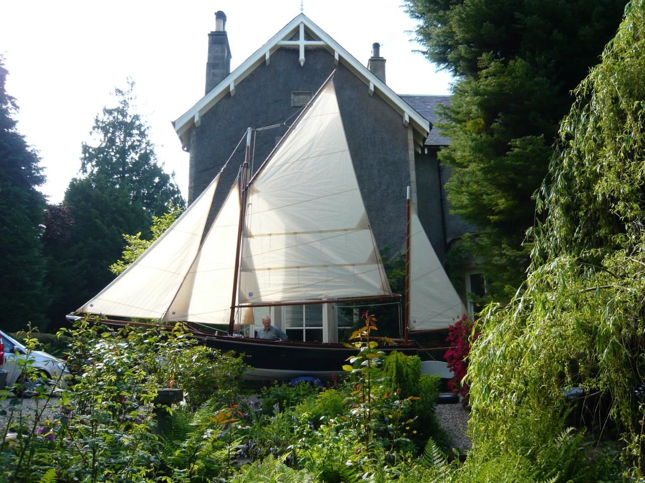 Kittiwake 16