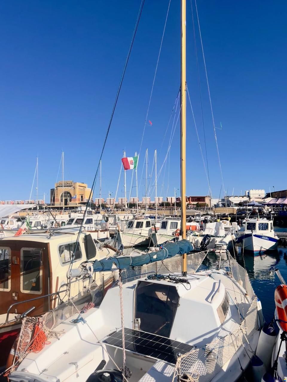 Edel V