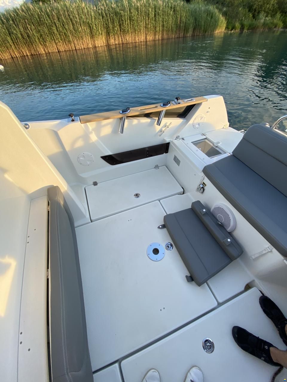 Barracuda 7
