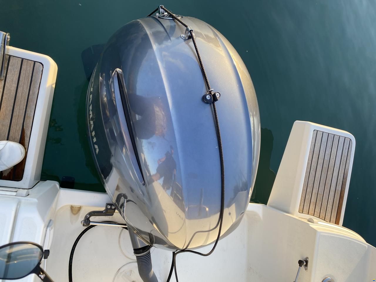 Barracuda 7
