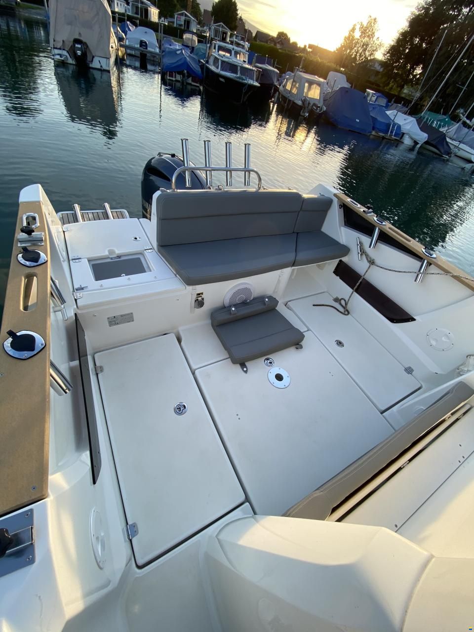 Barracuda 7