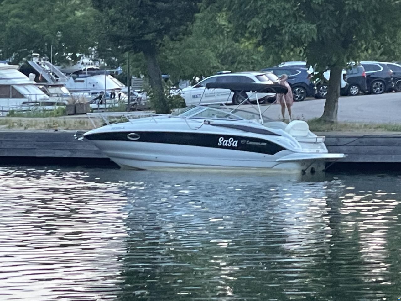 Crownline 250 CR