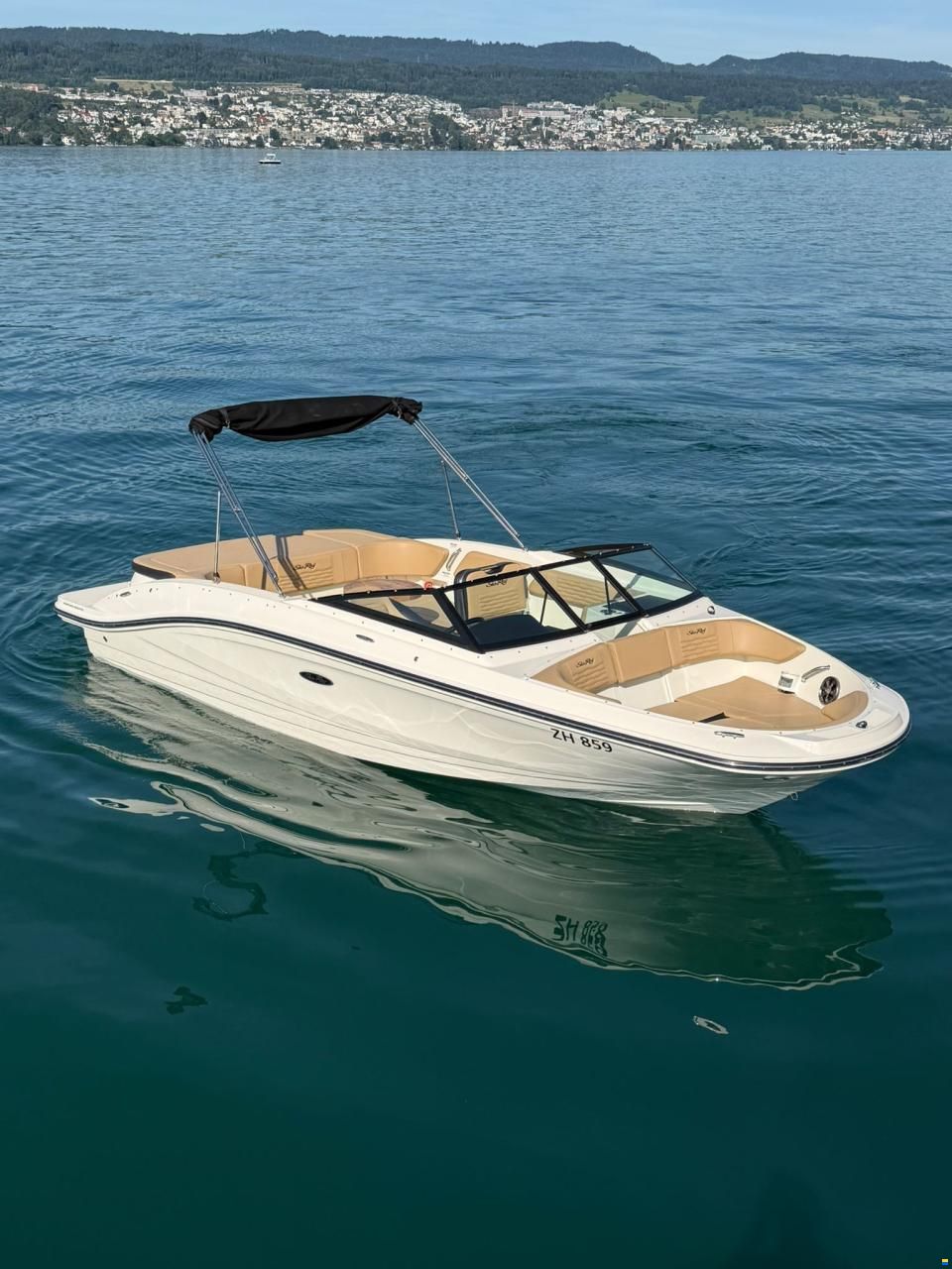 Sea Ray SPX 210