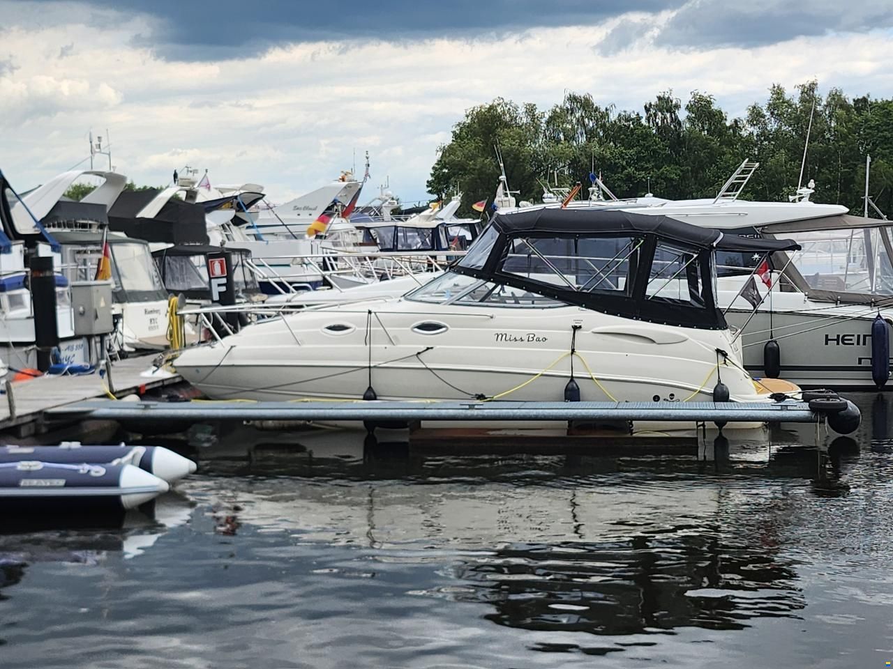 Stingray 250CS