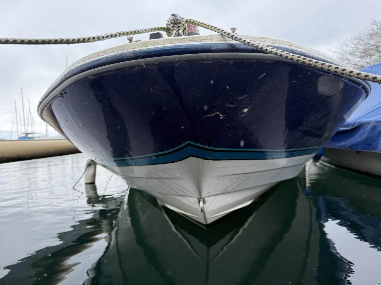 Bayliner Capri 1750
