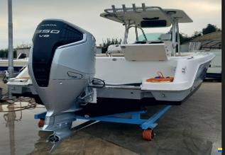 Robalo 260