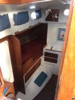 Salar - East Coast Yacht Builders Salar.