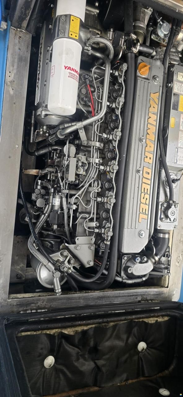mstx 5
