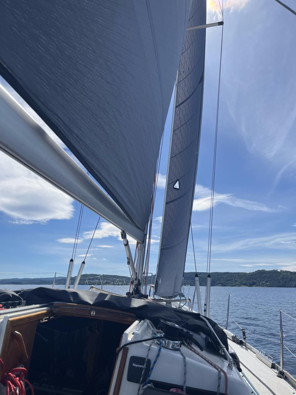 Finngulf 39