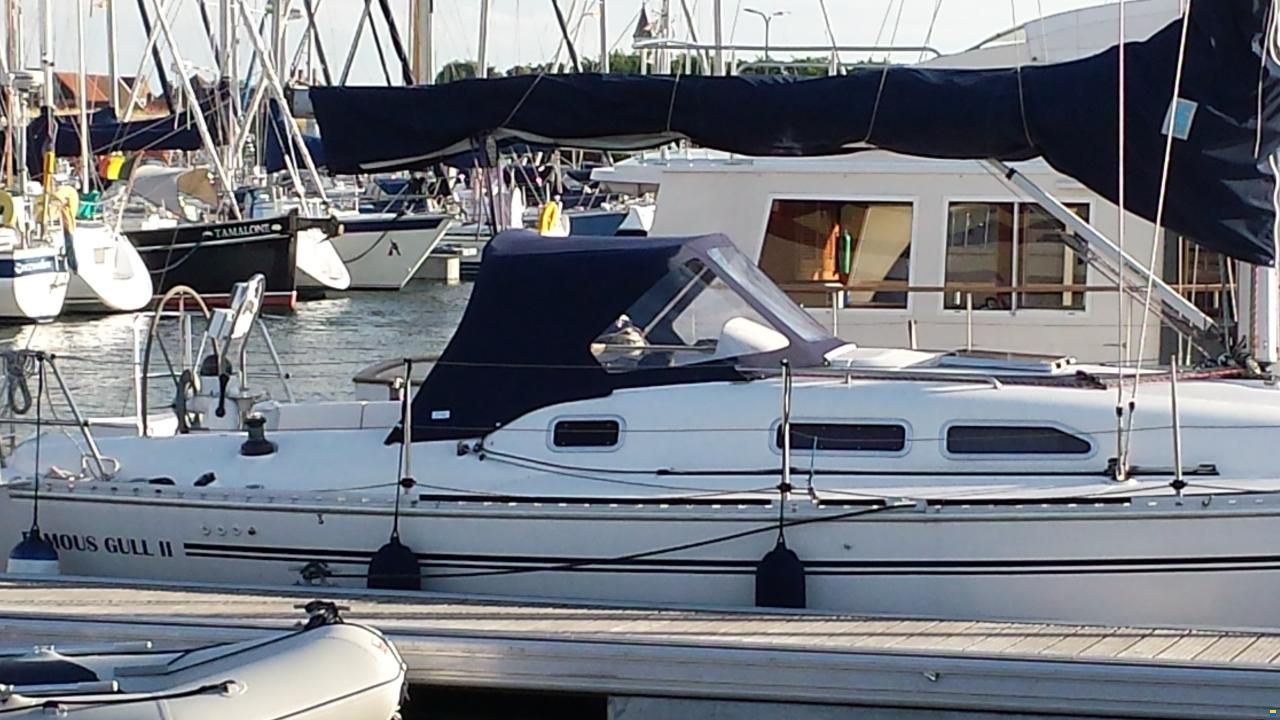 Elan 333