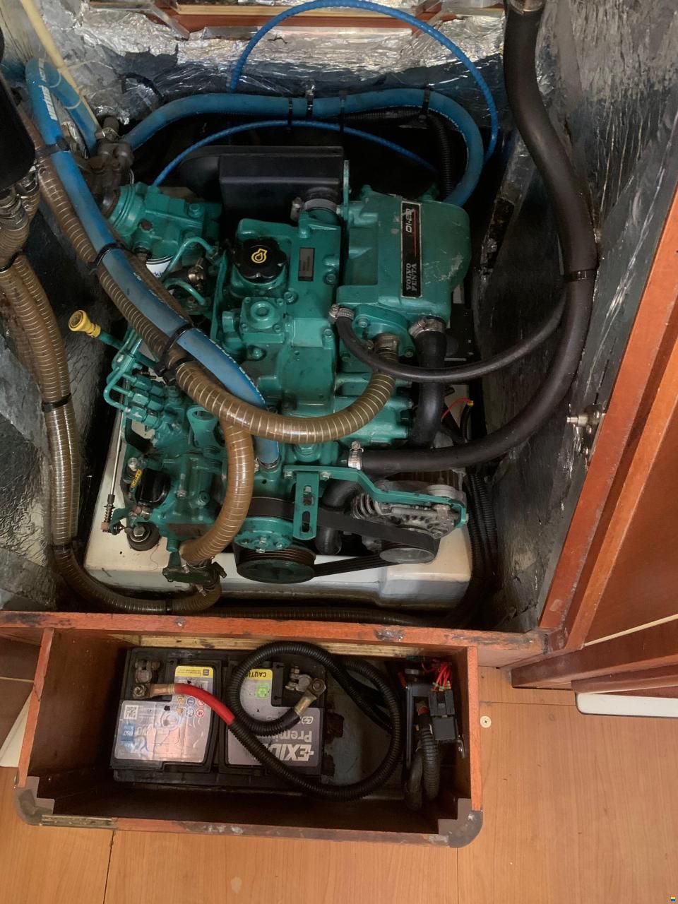 Delphia 31