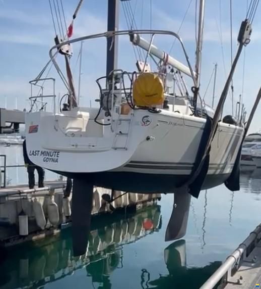 Delphia 31