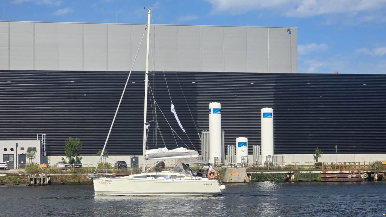 Delphia 31