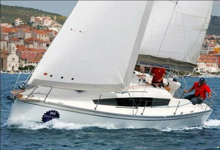 Delphia 31