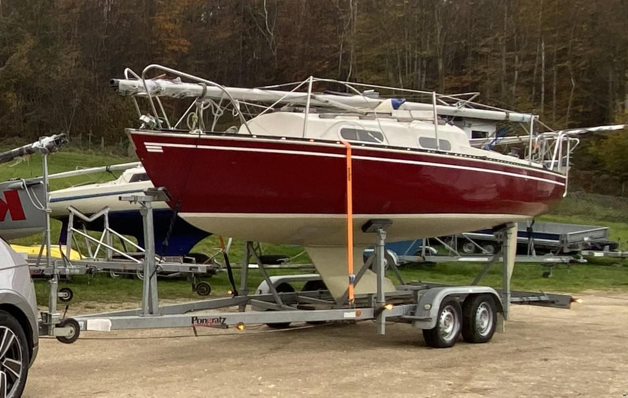 Korneuburg Shark 24