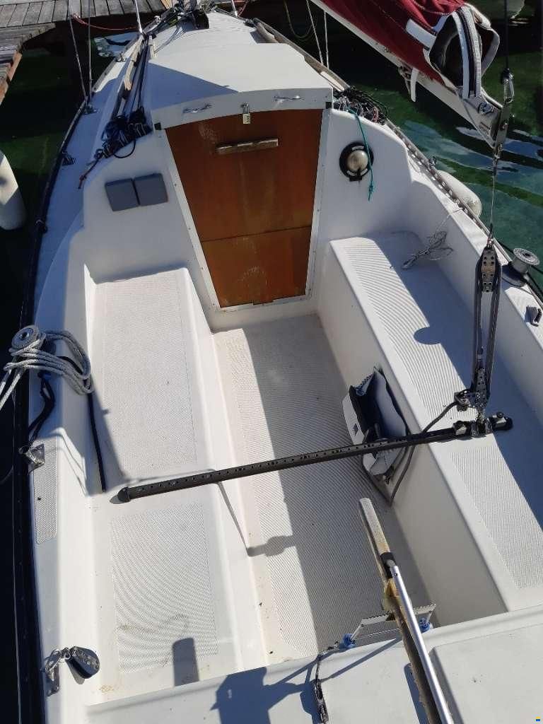 Korneuburg Shark 24