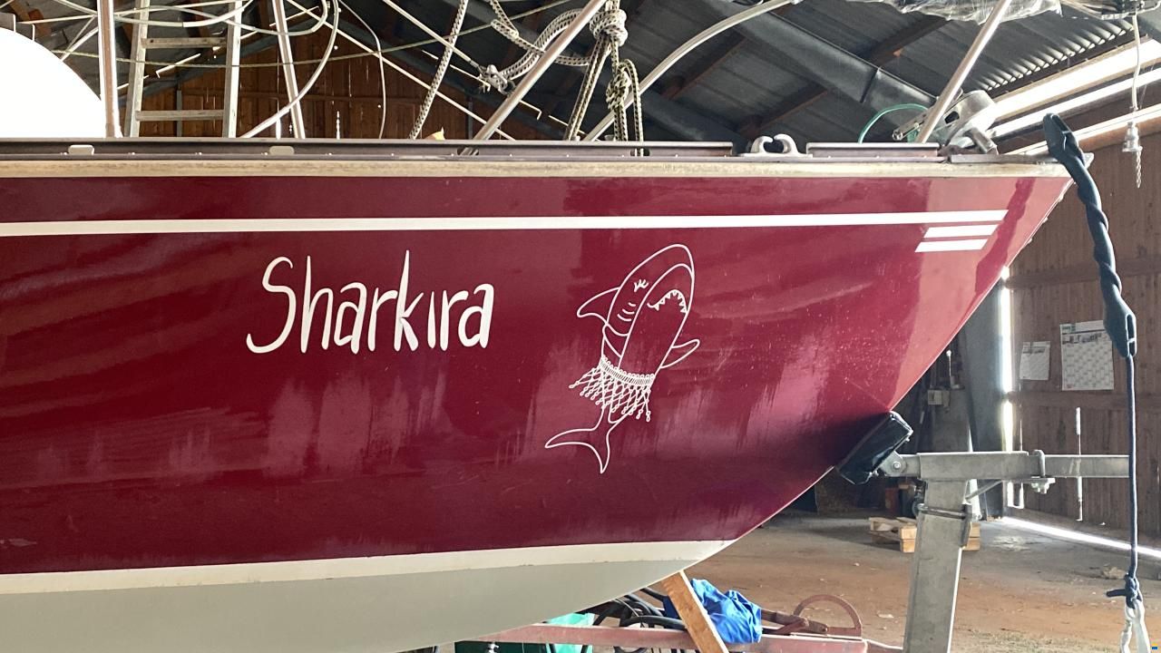 Korneuburg Shark 24