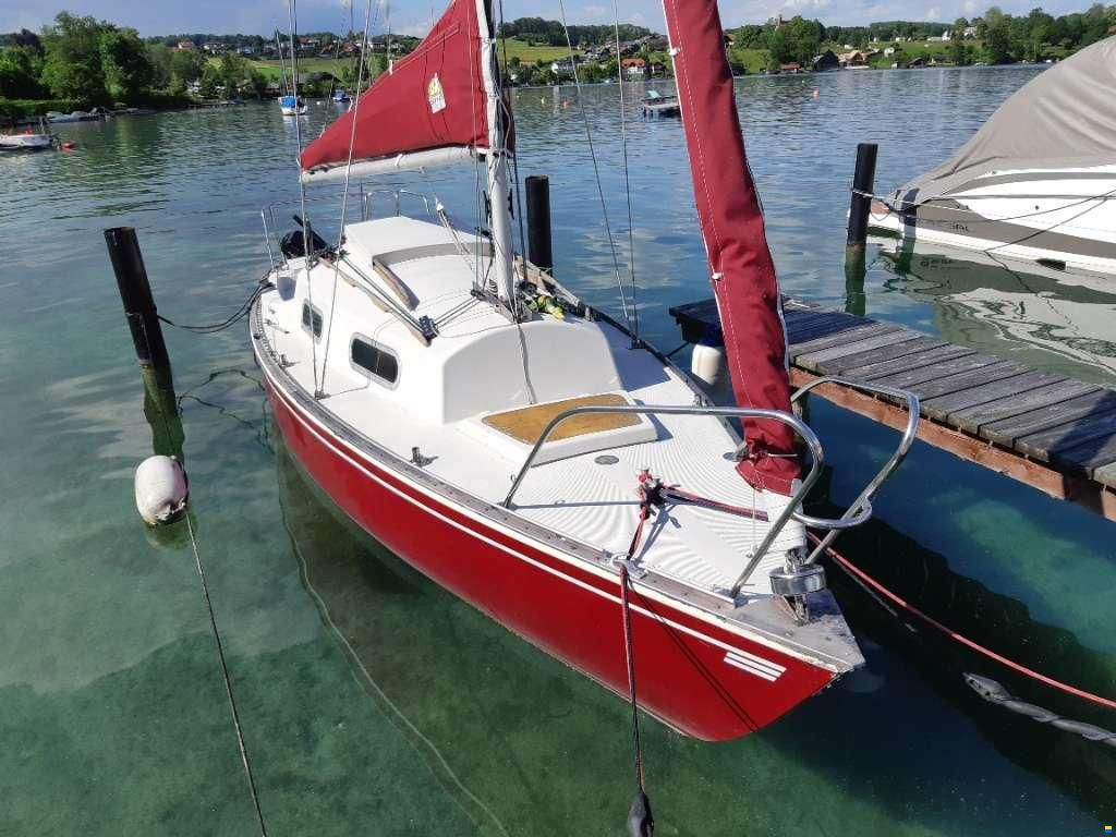 Korneuburg Shark 24