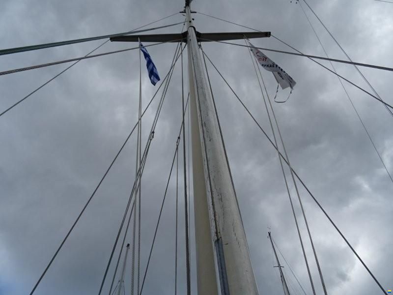 Everitt 29
