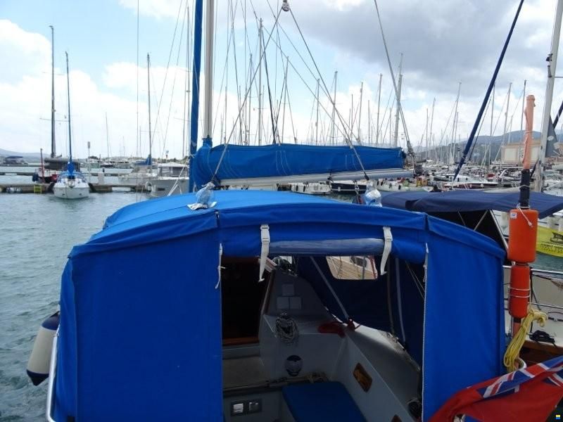 Everitt 29