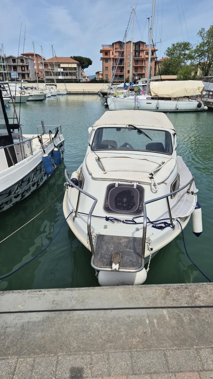 Hardy Sea Wings 194