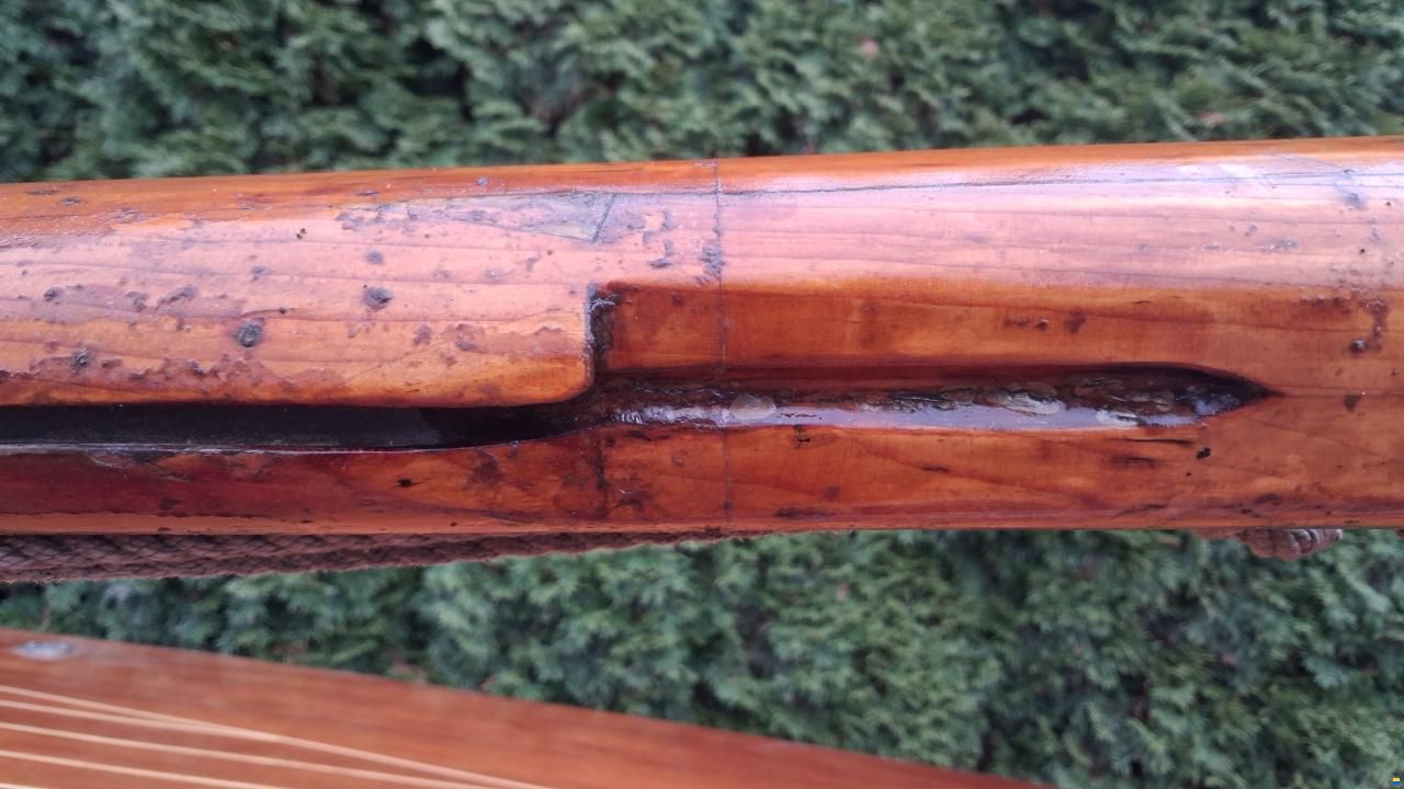 Schwertzugvogel Jolle