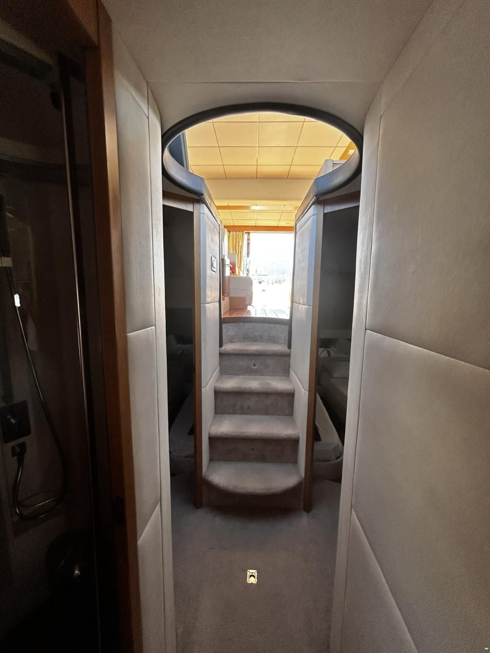 Rodman Muse 44