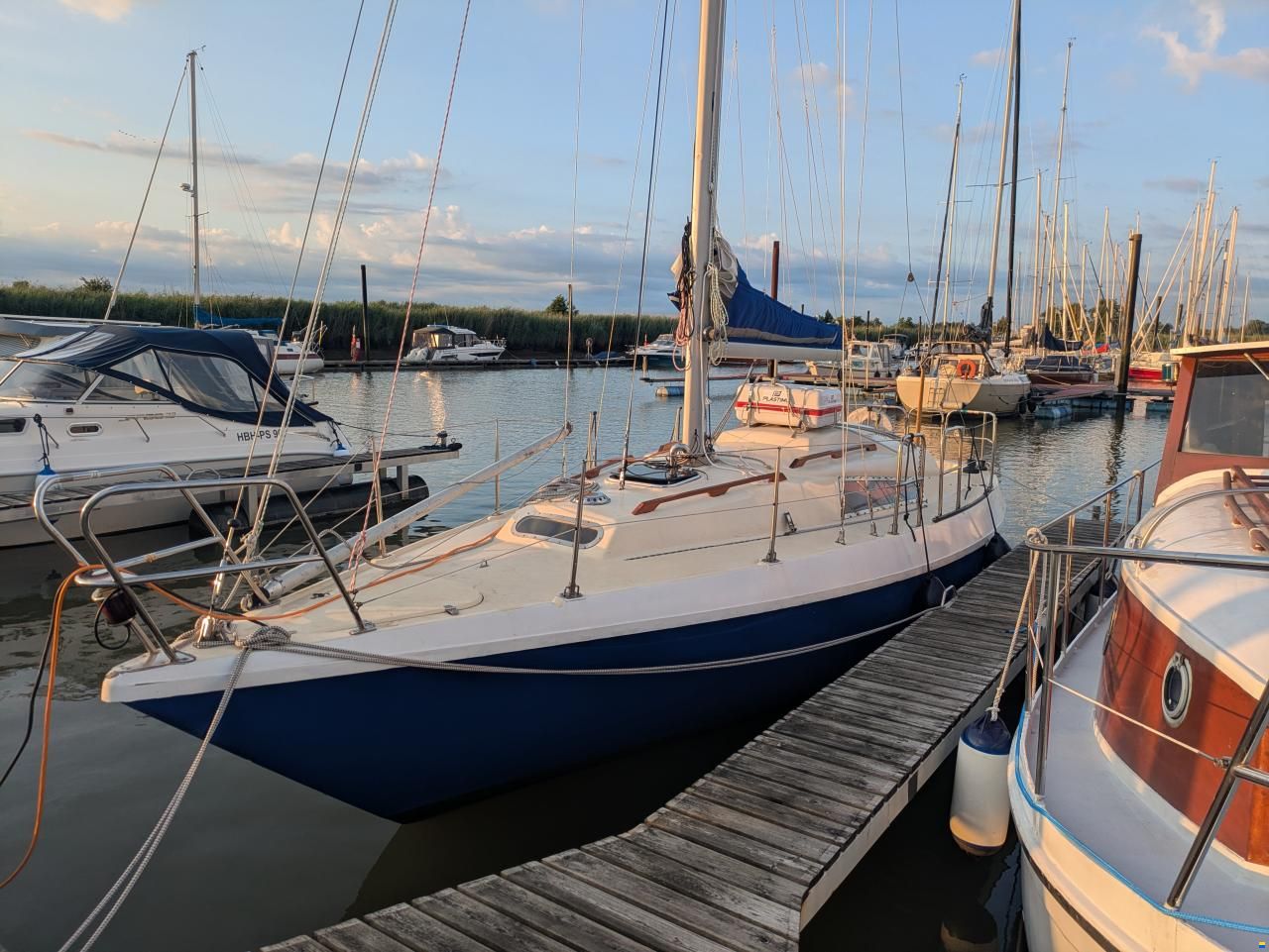 Neptun 31