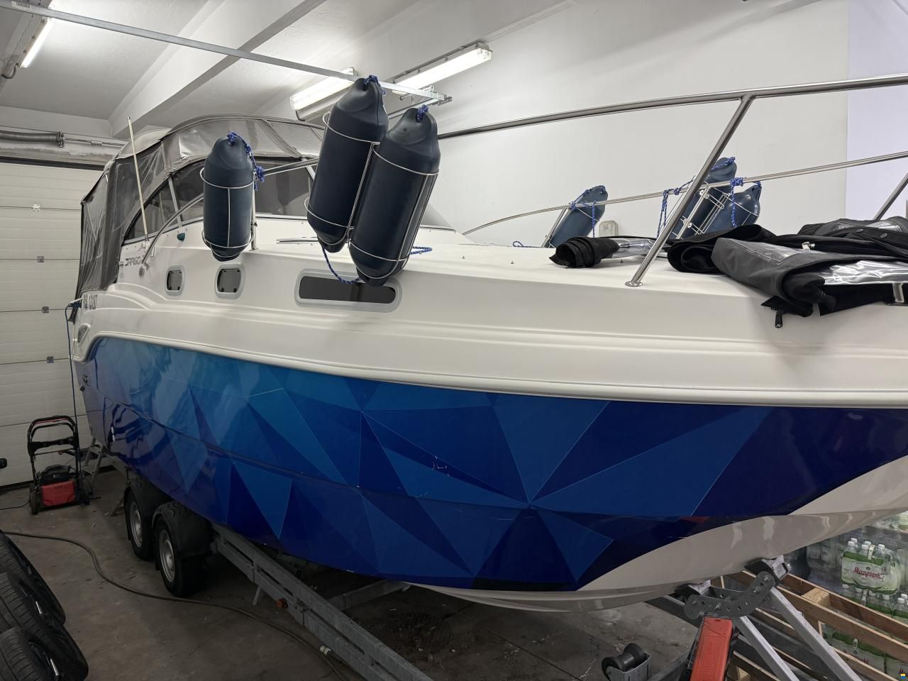Drago 29