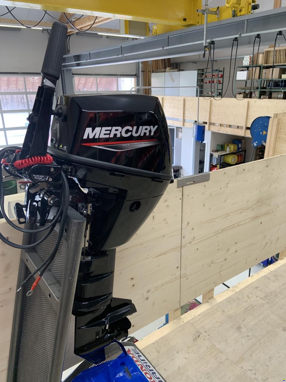 Mercury F6 EFI MELH