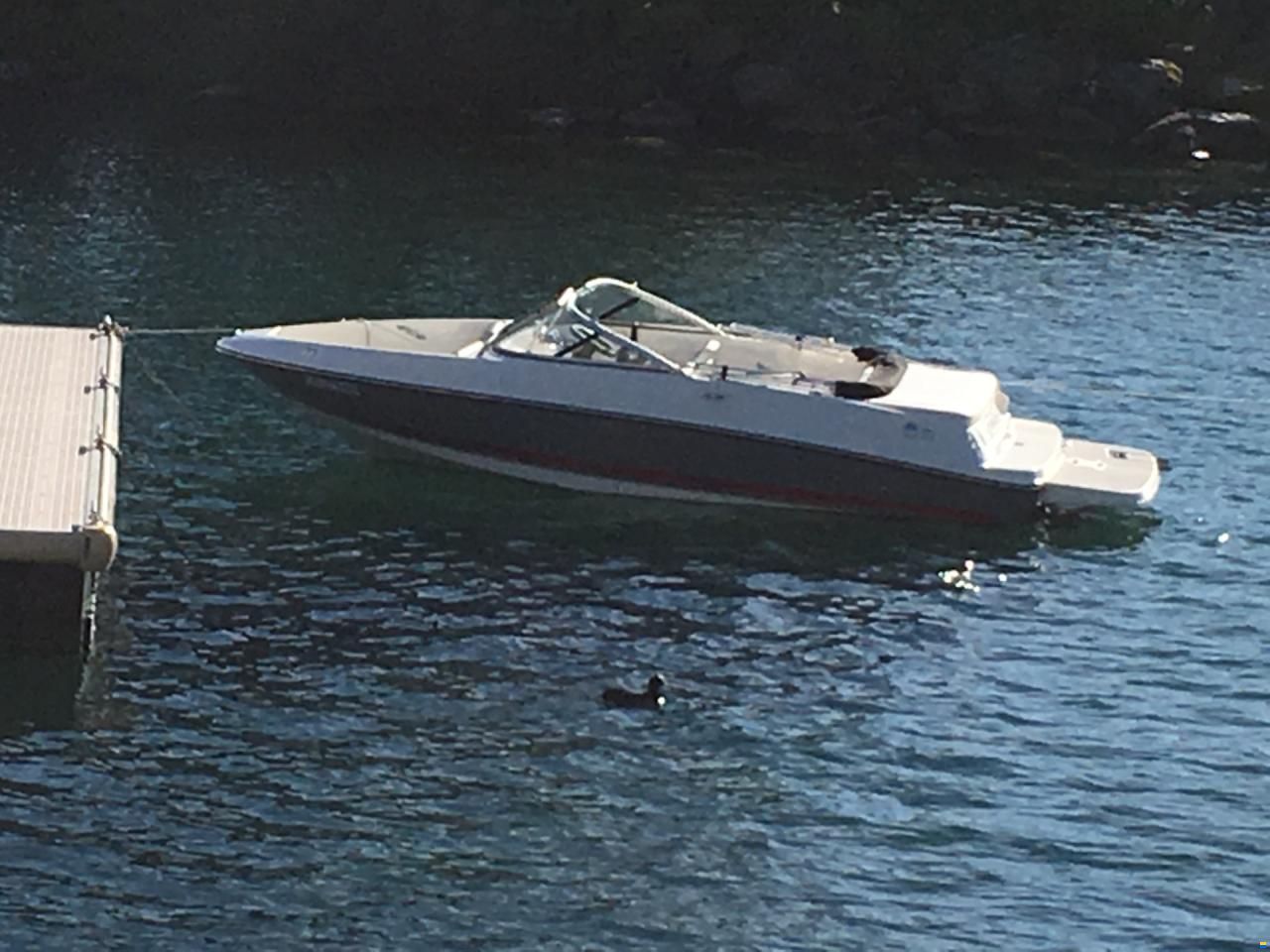Bayliner Bateau de Sport, Categorie Conception C