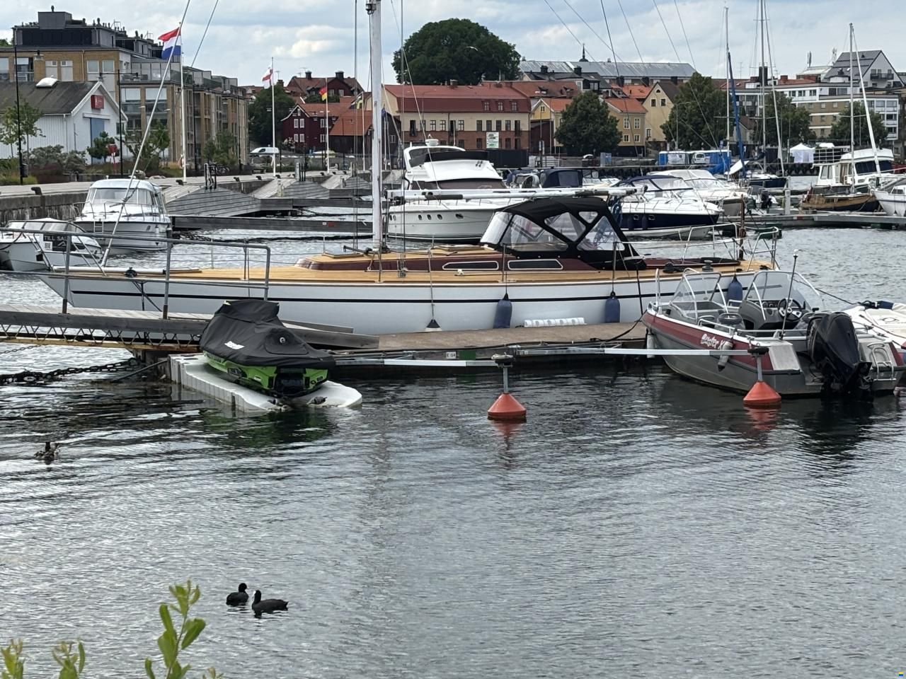 Luffe 44