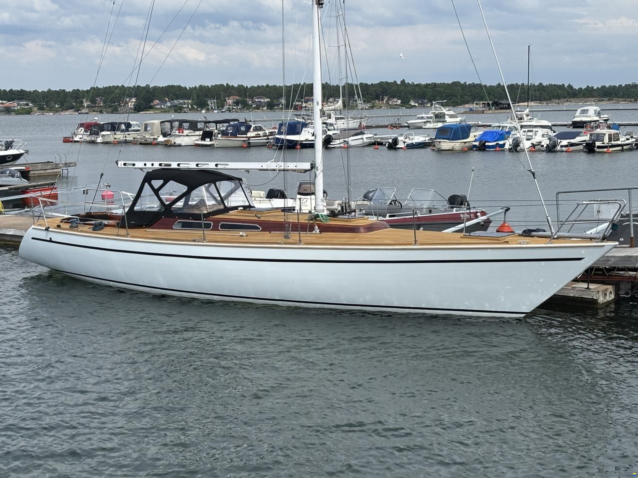 Luffe 44