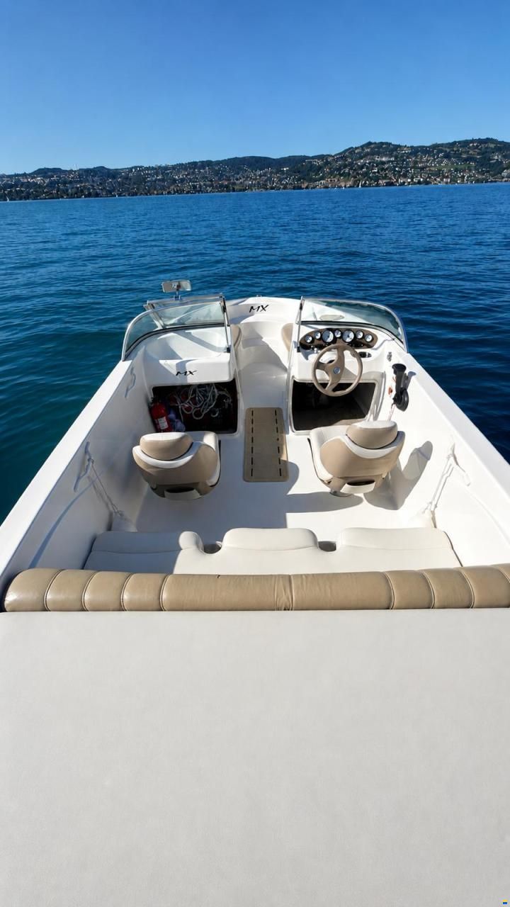 Glastron MX 175