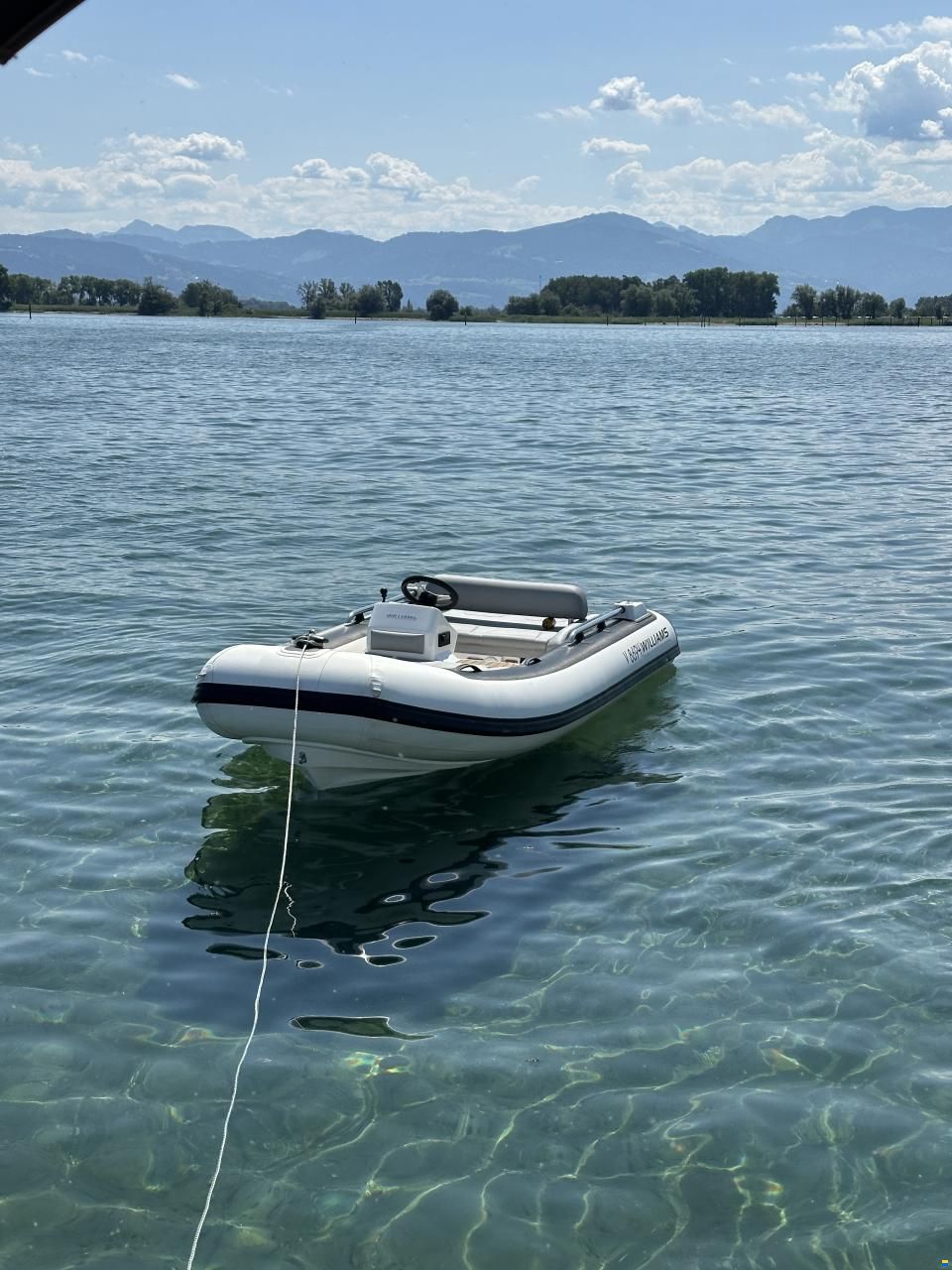 Williams SportJet395