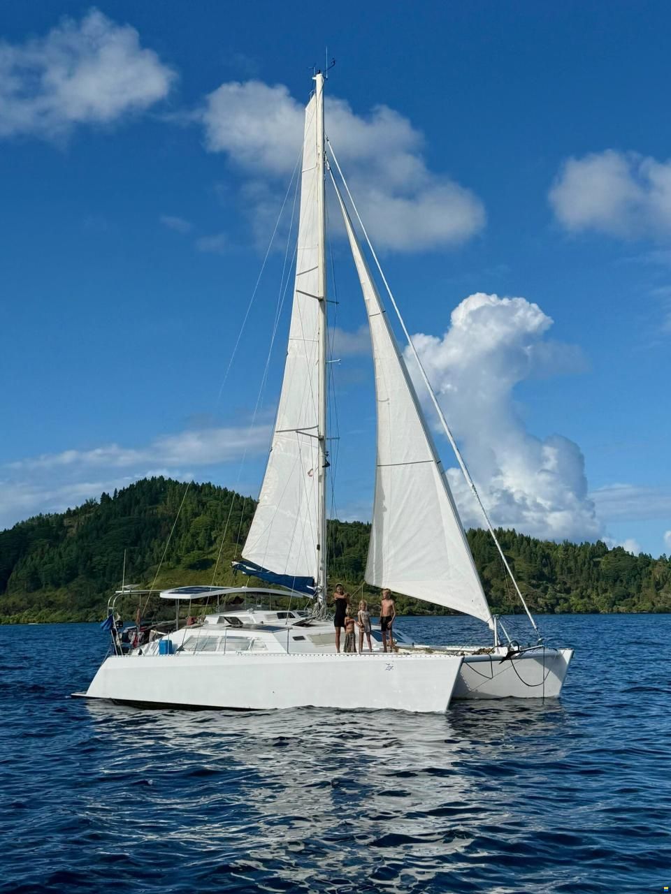 Henze Simpson 1201