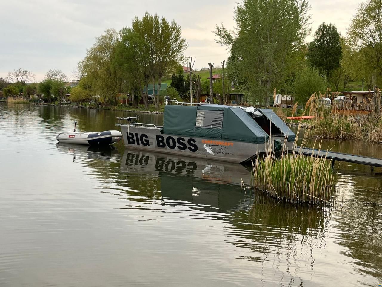 Bigboss